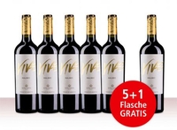 Aktionspaket 6 Fl. Alta Vista Vive Malbec