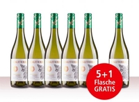 Aktionspaket 6 Fl. Caliterra Reserva Chardonnay