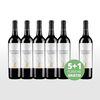 Aktionspaket 6 Fl. Chocolate Pinotage by Windmeul
