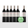 Aktionspaket 6 Fl. Delheim Merlot