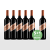 Aktionspaket 6 Fl. Trapiche Broquel Malbec