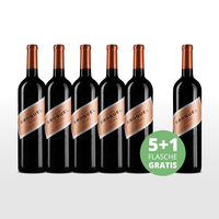 Aktionspaket 6 Fl. Trapiche Broquel Malbec