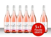 Aktionspaket 6 Fl. Windmeul Pinotage Rosé