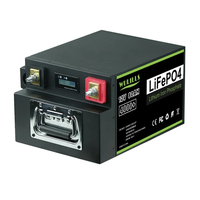 12V 80AH LiFePO4 Battery Built-in BMS Rechargeable Battery Power Bank for Solar Marine Overland Off-Grid Applications Ho