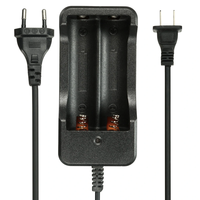 2 Slots EU/US Plug Charger for 18650 Battery