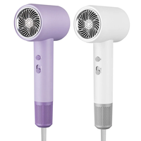 2000W Powerful Hair Dryer 5-Level Temperature Adjustment Dual Switches with Rotating Nozzle 220~240V Salon Hair Dryer fo