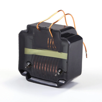 20KV High Frequency High Voltage Transformer Epoxy Resin Coil Ozone Generator Air Purification Negative Ion Producer 23K