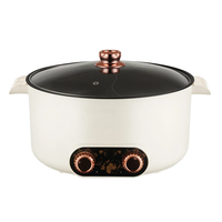 220V 1200W Electric Hot Pot Household Non-Stick Cooking Machine Frying Pan Pot 6L Double-Flavor Hot Pot