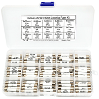 75PCS Ceramic Fuse Kit 6x30mm 15A Ratings 0.5A to 30A Electrical Replacement Fuses Heat Resistant Multipurpose Fuses for