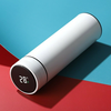 AGSIVO 500ml / 17Oz Stainless Steel Water Bottle with LED Temperature Display Leakproof Vacuum Flasks Coffee Cup Milk Mu