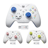 BIGBIG WON Rainbow 2 SE Tri-mode Wireless Game Controller Multi-platform Gaming Controllers Hall Effect Trigger 2.4G/BT/