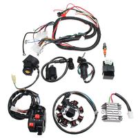 Electric Wiring Harness Wire Loom CDI Motor Stator Full Set For ATV QUAD 150/200/250CC