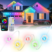 Elfeland 15M/30M 15 Lights/30 Lights RGB Eaves Lamps for Courtyards bluetooth Voice-controlled Lights Outdoors Eaves Run