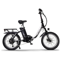 [EU DIRECT] AVDLEU A21 Electric Bike 48V 14.25AH 250W Motor 20inch Tire 40-60KM Max Mileage 150KG Max Load Electric Bicy