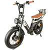 [EU DIRECT] BAOLUJIE DP2034 Electric Bike 48V 30AH Battery 1000W*2 Dual Motors 20inch Tires 90-100KM Max Mileage 120KG M