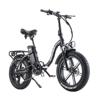 [EU DIRECT] BURCHDA R8WS Electric Bike 48V 20AH Battery 800W Motor 20x4.0inch Tires 80-90KM Mileage Range 180KG Max Load