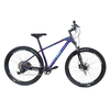 [EU DIRECT] CFM 29 Inch Carbon Fiber Bike 12-Speed Racing Bicycle With Disc Brakes And Thru-Axle Lightweight Performance