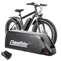 [EU Direct] ChamRider Hailong B 36V 22.5Ah 810Wh Downtube Electric Bike Battery - Powered by 4500mAh 21700 Li-ion Cells