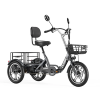 [EU DIRECT] CYSUM T1 Pro Electric Tricycle 48V 22Ah Battery 250W Motor Top Speed 25KM/H 16inch Tires 120-150KM Mileage R