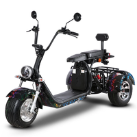 [EU DIRECT] Dogebos SC09 Electric Tricycle Cargo with EEC/COC Certification 2000W Motor 60V 20Ah*2 Dual Batteries 18*9.5