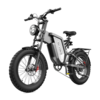 [EU DIRECT] EKX X20 Electric Bike 48V 35AH Battery 2000W Motor 20*4.0inch Tires SpokeWheel 120KM Max Mileage 150KG Max L