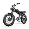 [EU Direct] EMOKO C93 Electric Bike 48V 23AH Battery 1000W*2 Dual Motors 20inches Tires 55-75KM Max Mileage Range 120KG