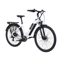 [EU DIRECT] Freefire FF-W2001 Electric Bike 36V 15.6AH Battery 250W Motor 700C*45C Tires 65-85KM Max Mileage 150KG Max L