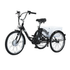 [EU DIRECT] GOGOBEST GF100 Electric Tricycle 36V 15AH Battery 350W Motor 24inch 70KM Max Mileage 200KG Max Load Electric