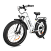 [EU DIRECT] Heda TX TX8 Electric Bike 48V 19.2AH Battery 750W Motor 26inch Tires 60-80KM Max Mileage 150KG Max Load Elec