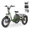 [EU DIRECT] Hidoes HD-ET1 Electric Tricycle Cargo 48V 20AH Battery 750W Motor 20inches Tires 40-65KM Max Mileage 150KG M