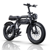 [EU DIRECT] PHNHOLUN C8 Pro Electric Bike 48V 20AH Battery 1000W Motor 20inch Tires 65KM Max Mileage 150KG Max Load Elec