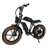 [EU DIRECT] PVY X20 Electric Bike 48V 15Ah+15Ah Dual Batteries 1000W Motor 20inches Tires 100-200KM Max Mileage 150KG Ma