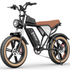 [EU DIRECT] Ridstar Q20 Electric Bike 48V 20AH Battery 1000W Motor 20inch Tires 50-120KM Max Mileage 150KG Max Load Elec
