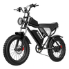 [EU DIRECT] Ridstar Q20 Electric Bike 48V 20AH Battery 1000W Motor 20inch Tires 70-90KM Max Mileage 150KG Max Load Elect