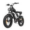 [EU DIRECT] Ridstar Q20 Mini Electric Bike 48V 15AH Battery 1000W Motor 20inch Tires 60-80KM Max Mileage 150KG Max Load