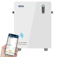 [EU Direct] TENTEK 5.12KWh 51.2V 100Ah LiFePO4 Wall-mounted Solar Battery House Large Battery 48volt Leisure Solar Syste
