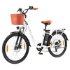 [EU DIRECT] TTGO YY-26ST Electric Bike 36V 14.5AH Battery 250W(Max 350W) Motor 26inch 80-100KM Max Mileage 120KG Max Loa