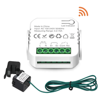Ewelink Smart WiFi Energy Meter Bidirection 1Way Interruptor Switch 0.2-70A Real-Time Power Monitoring with App Monitor