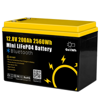 Gokwh 12V 200Ah BT + SOC Mini Car Bluetooth Energy Storage Box Battery Built-in Smart APP & LCD Energy IP65 Protection L