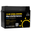 Gokwh 12V 320AH LiFePO4 Lithium Battery 4096Wh 200A BMS 8000+ Deep Cycles Built-in bluetooth Perfect for RV,  Marine,  Hom
