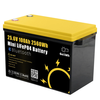 Gokwh 24V 100Ah LCD Energy Storage Box 2560WhSolar Lithium Ion LiFePO4(LFP)Battery for RV Boat Home Energy Storage