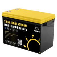 Gokwh 24V 100Ah LCD Energy Storage Box 2560WhSolar Lithium Ion LiFePO4(LFP)Battery for RV Boat Home Energy Storage