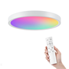 Gosund LB12 24W LED Smart Ceiling Light 30cm Wifi Smart Celling Lamp RGB+CW1920LM Remote Control Voice Control With Al