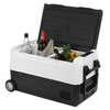 Hcalory 35/45/55L Portable Car Refrigerators Mini Fridge Electric Compressor Cooler for Car Home 12/24V DC 110/240V AC