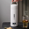 IPRee Temperature Water Mini Electric Kettle 500ml Adjustable Three-layer Anti-scalding Cup Body Travel Outdoor School H