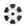 KALOAD Smart Music Punching Target 9 Speed Gradient Adjustment Intelligent Auto Counter Wall Mounted Target Boxing Train