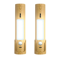 Multifunctional LED Lamp Little Night Light with Human Presence Sensor Magnetic Wall Lamps Smart Motion Detection Lights
