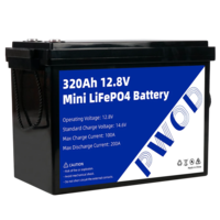 PWOD 12.8V 320Ah 3840Wh Mini LiFePO4 Battery Storage Box RV & Boat Lithium Battery Built-in BMS IP65 Protection