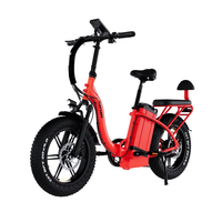 RATTAN LF ULTRA Electric Bike 48V 40.5AH Battery 750W Motor Recommended Top Speed 25KM/H 20 Inch Tire Electric Bicycle 8