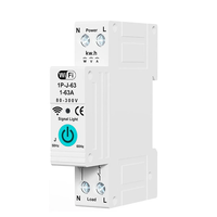 Smart WiFi Circuit Breaker with Remote Control Voice Activation Adjustable Over Current Protection Energy Metering Easy